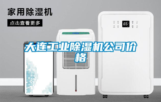 大連工業(yè)除濕機(jī)公司價(jià)格