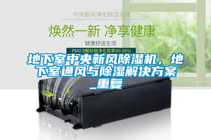 地下室中央新風(fēng)除濕機(jī)，地下室通風(fēng)與除濕解決方案_重復(fù)