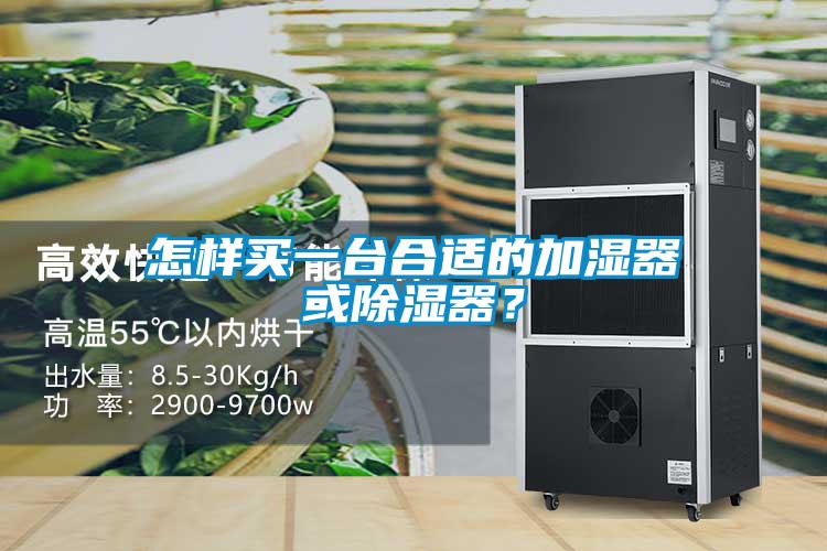 怎樣買一臺合適的加濕器或除濕器？
