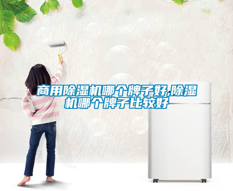 商用除濕機哪個牌子好,除濕機哪個牌子比較好