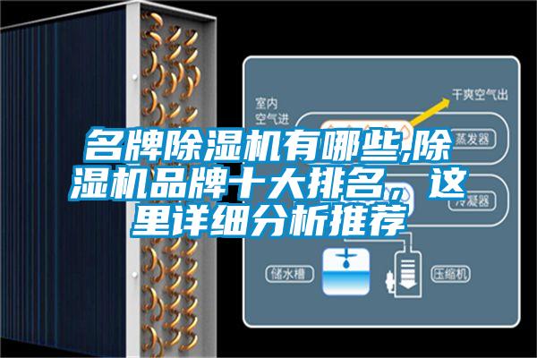 名牌除濕機有哪些,除濕機品牌十大排名，這里詳細分析推薦