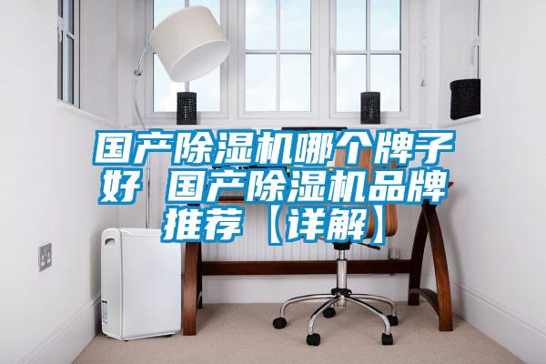 國產(chǎn)除濕機哪個牌子好 國產(chǎn)除濕機品牌推薦【詳解】