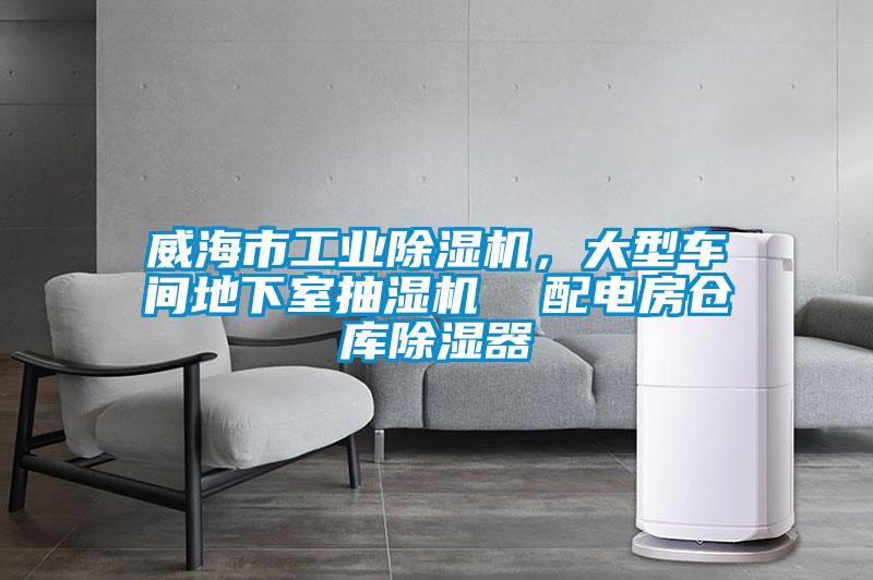 威海市工業(yè)除濕機(jī)，大型車間地下室抽濕機(jī)  配電房倉庫除濕器