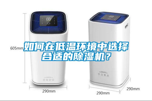 如何在低溫環(huán)境中選擇合適的除濕機？