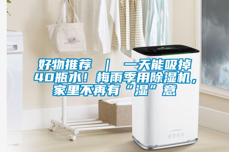 好物推薦 ｜ 一天能吸掉40瓶水！梅雨季用除濕機(jī)，家里不再有“濕”意