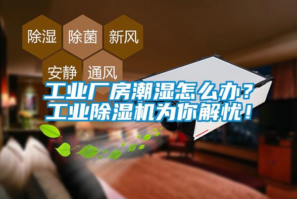 工業(yè)廠房潮濕怎么辦？工業(yè)除濕機(jī)為你解憂！