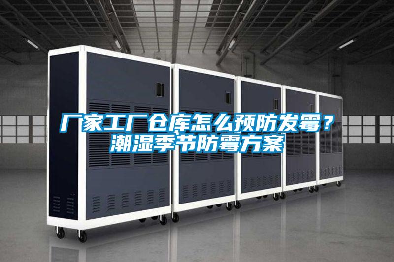 廠家工廠倉庫怎么預(yù)防發(fā)霉？潮濕季節(jié)防霉方案