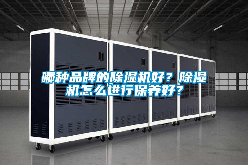 哪種品牌的除濕機(jī)好？除濕機(jī)怎么進(jìn)行保養(yǎng)好？