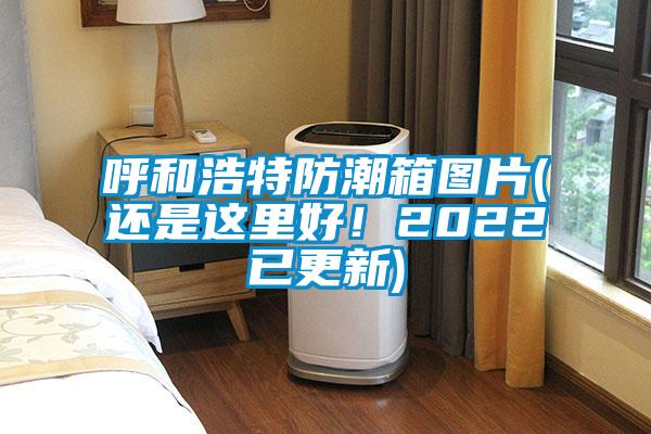 呼和浩特防潮箱圖片(還是這里好！2022已更新)