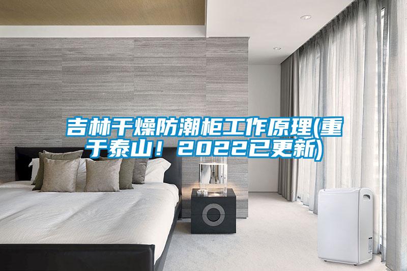 吉林干燥防潮柜工作原理(重于泰山！2022已更新)