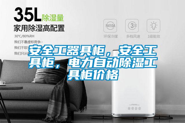 安全工器具柜，安全工具柜，電力自動(dòng)除濕工具柜價(jià)格