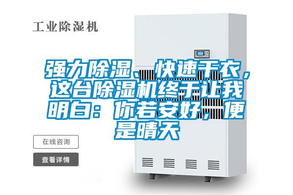 強(qiáng)力除濕、快速干衣，這臺(tái)除濕機(jī)終于讓我明白：你若安好，便是晴天