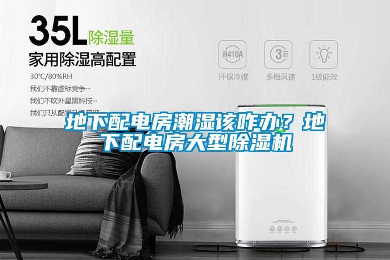 地下配電房潮濕該咋辦？地下配電房大型除濕機
