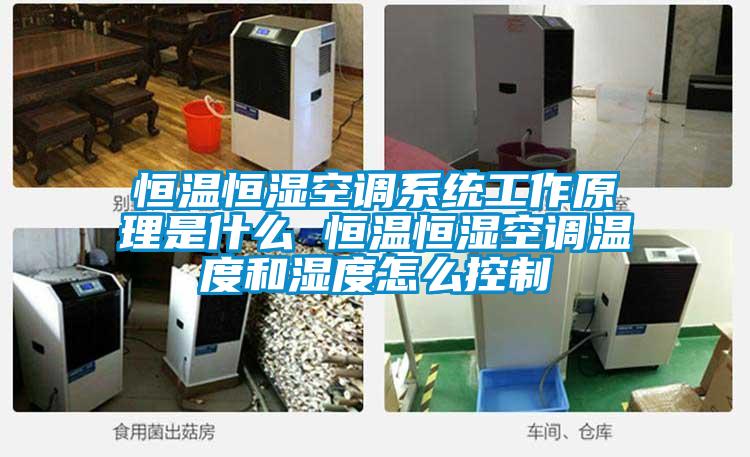 恒溫恒濕空調(diào)系統(tǒng)工作原理是什么 恒溫恒濕空調(diào)溫度和濕度怎么控制