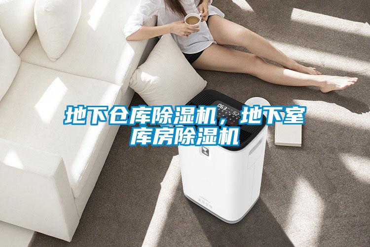 地下倉庫除濕機(jī)，地下室?guī)旆砍凉駲C(jī)