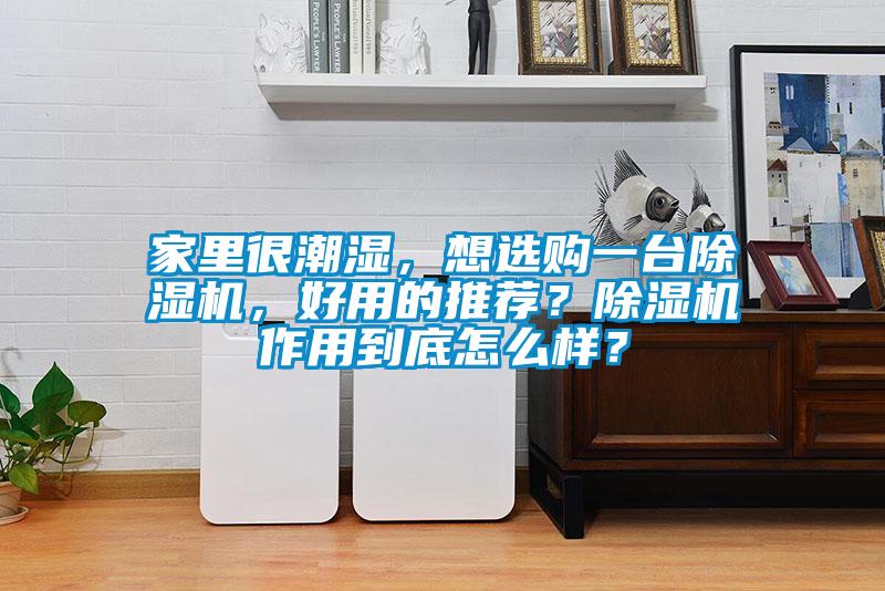 家里很潮濕，想選購一臺除濕機(jī)，好用的推薦？除濕機(jī)作用到底怎么樣？