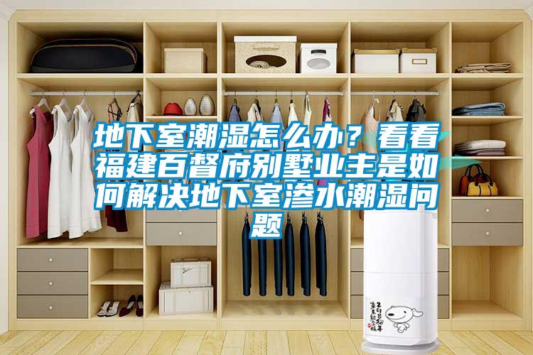 地下室潮濕怎么辦？看看福建百督府別墅業(yè)主是如何解決地下室滲水潮濕問題