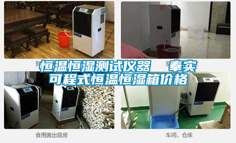 恒溫恒濕測試儀器  奉實(shí)可程式恒溫恒濕箱價(jià)格