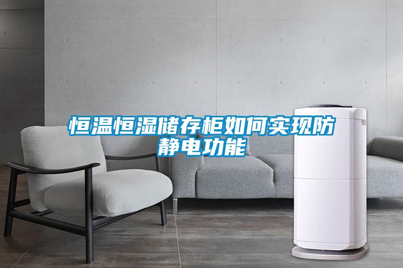 恒溫恒濕儲存柜如何實現(xiàn)防靜電功能