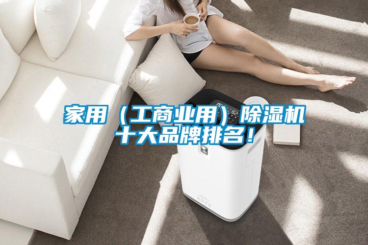 家用（工商業(yè)用）除濕機十大品牌排名！