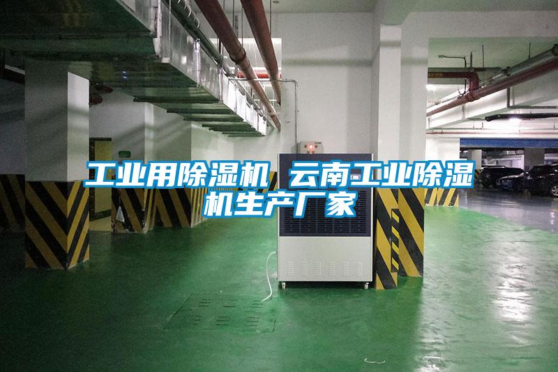 工業(yè)用除濕機 云南工業(yè)除濕機生產廠家