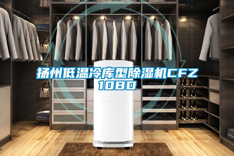 揚(yáng)州低溫冷庫型除濕機(jī)CFZ10BD