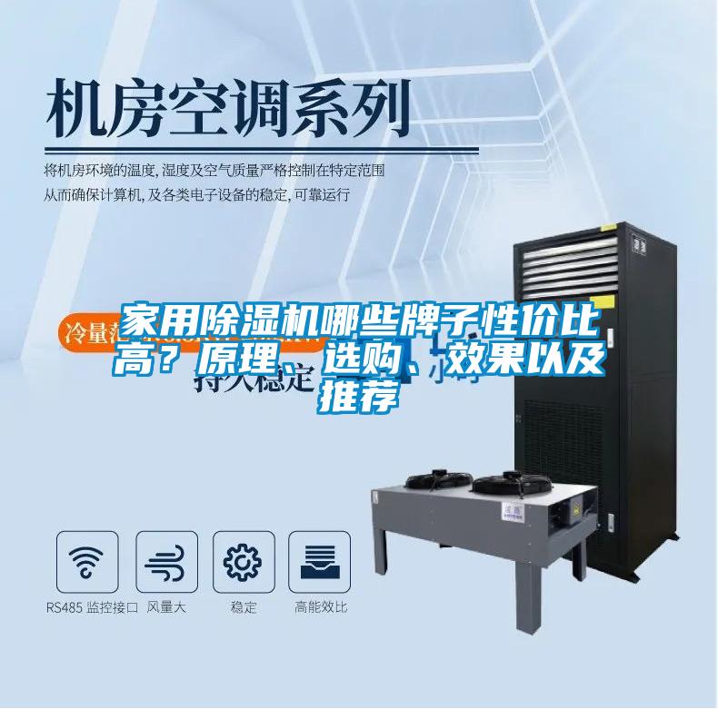 家用除濕機(jī)哪些牌子性價(jià)比高？原理、選購、效果以及推薦