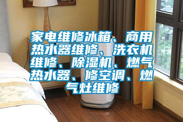 家電維修冰箱、商用熱水器維修、洗衣機(jī)維修、除濕機(jī)、燃?xì)鉄崴鳌⑿蘅照{(diào)、燃?xì)庠罹S修