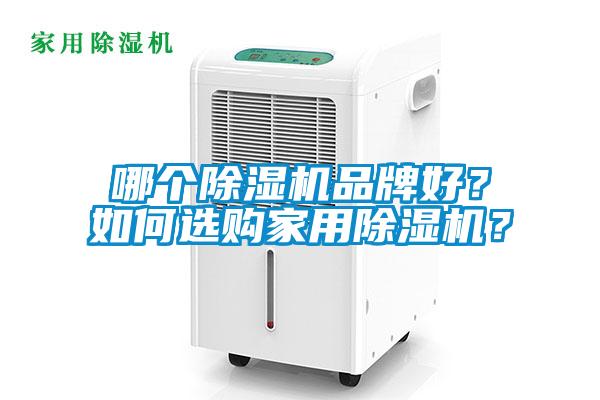 哪個除濕機品牌好？如何選購家用除濕機？