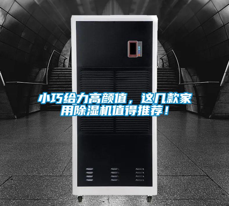 小巧給力高顏值，這幾款家用除濕機(jī)值得推薦！
