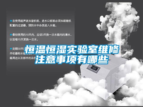 恒溫恒濕實(shí)驗(yàn)室維修注意事項(xiàng)有哪些