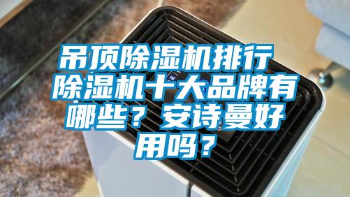 吊頂除濕機(jī)排行 除濕機(jī)十大品牌有哪些？安詩曼好用嗎？