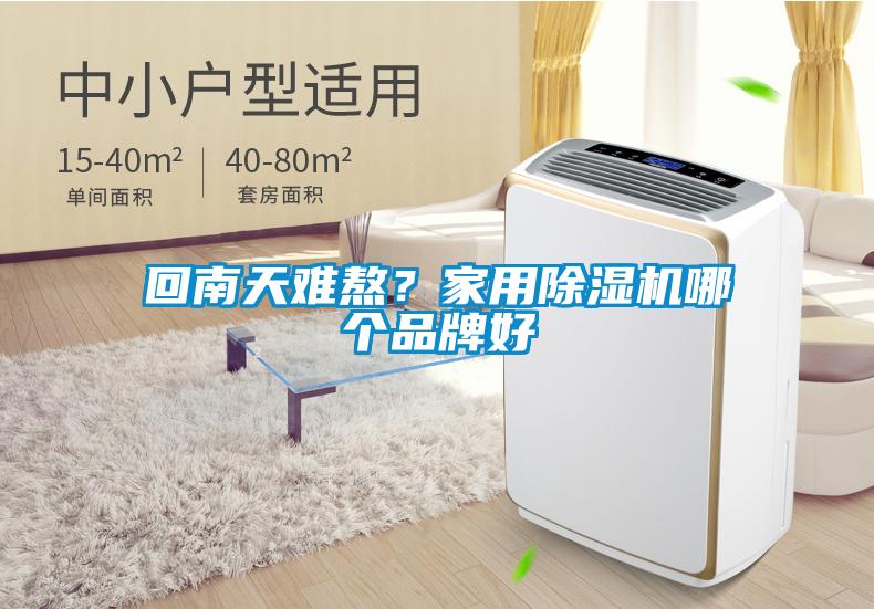 回南天難熬？家用除濕機(jī)哪個(gè)品牌好