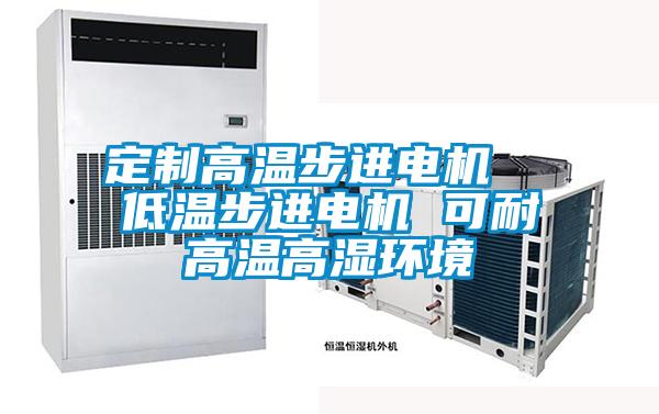 定制高溫步進(jìn)電機(jī)  低溫步進(jìn)電機(jī) 可耐高溫高濕環(huán)境