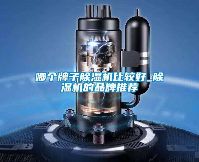 哪個(gè)牌子除濕機(jī)比較好_除濕機(jī)的品牌推薦