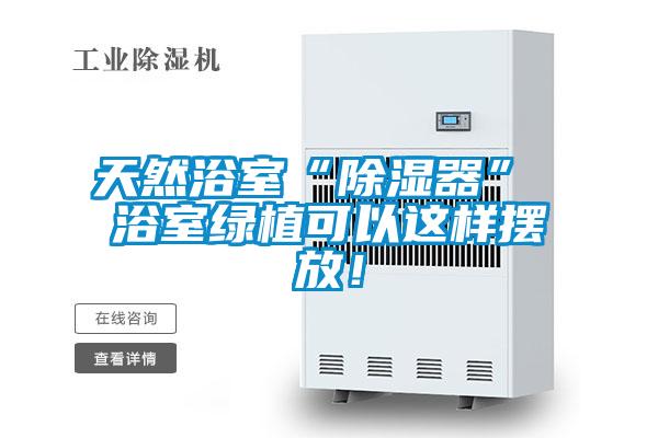 天然浴室“除濕器” 浴室綠植可以這樣擺放！