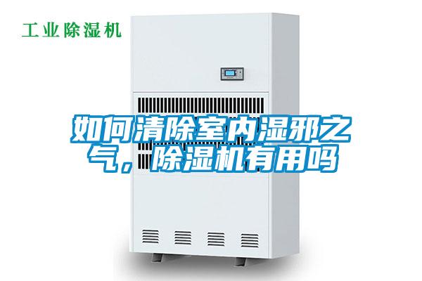 如何清除室內(nèi)濕邪之氣，除濕機(jī)有用嗎
