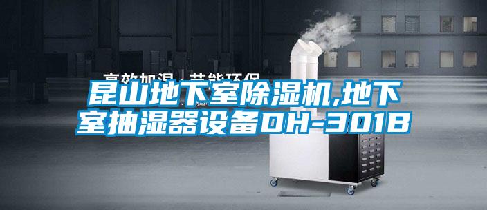 昆山地下室除濕機,地下室抽濕器設(shè)備DH-301B