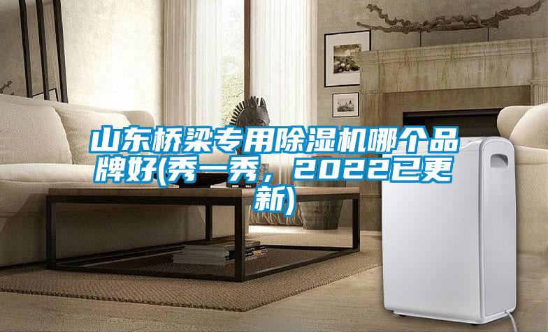 山東橋梁專用除濕機(jī)哪個(gè)品牌好(秀一秀，2022已更新)