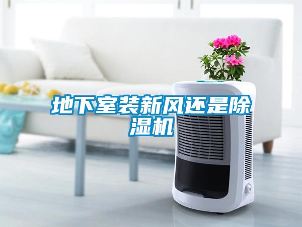 地下室裝新風(fēng)還是除濕機