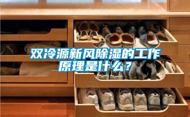 雙冷源新風(fēng)除濕的工作原理是什么？