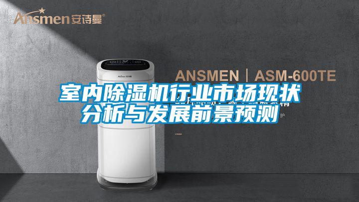室內(nèi)除濕機行業(yè)市場現(xiàn)狀分析與發(fā)展前景預(yù)測