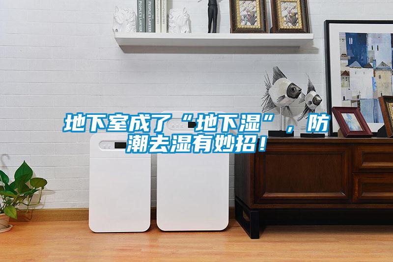 地下室成了“地下濕”，防潮去濕有妙招！