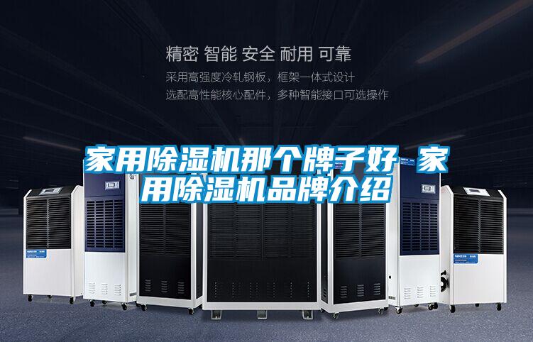 家用除濕機(jī)那個牌子好 家用除濕機(jī)品牌介紹