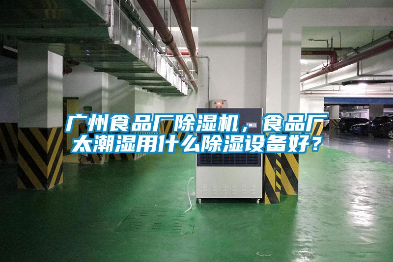 廣州食品廠除濕機(jī)，食品廠太潮濕用什么除濕設(shè)備好？