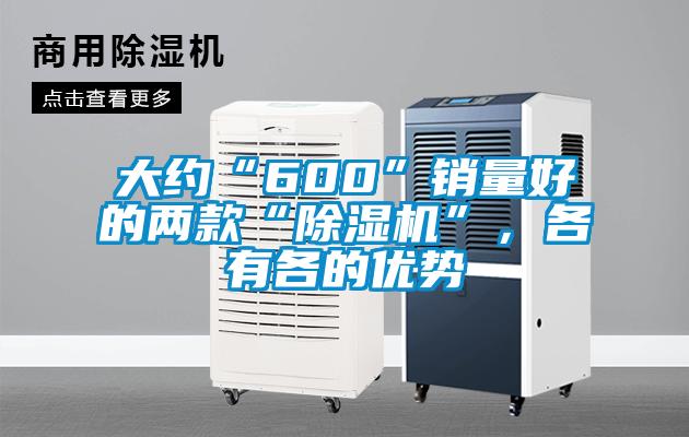大約“600”銷量好的兩款“除濕機”，各有各的優(yōu)勢