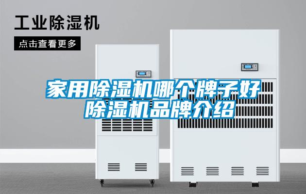 家用除濕機(jī)哪個牌子好 除濕機(jī)品牌介紹