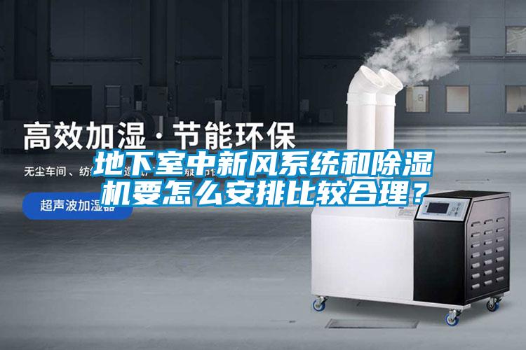 地下室中新風系統(tǒng)和除濕機要怎么安排比較合理？
