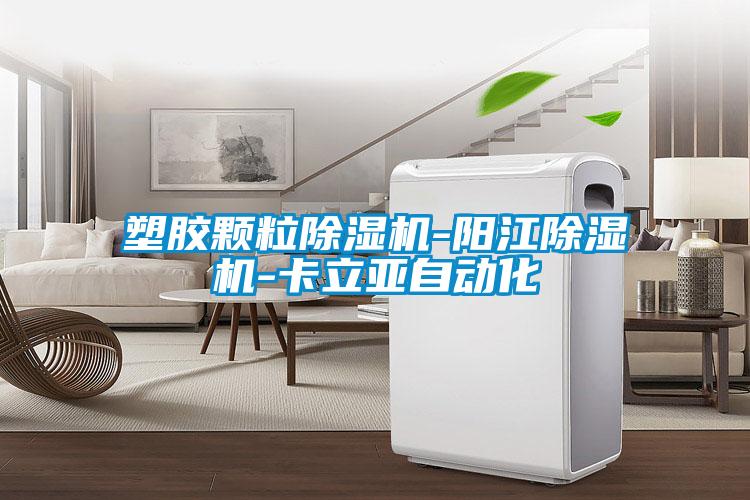 塑膠顆粒除濕機(jī)-陽(yáng)江除濕機(jī)-卡立亞自動(dòng)化