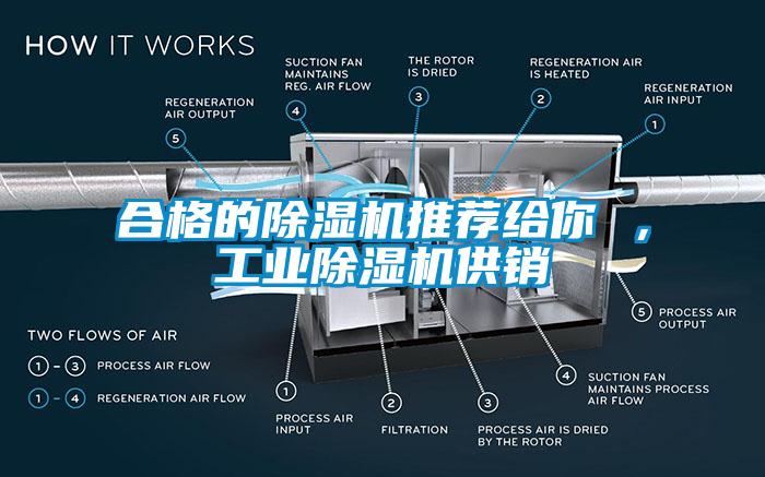合格的除濕機(jī)推薦給你 ，工業(yè)除濕機(jī)供銷(xiāo)
